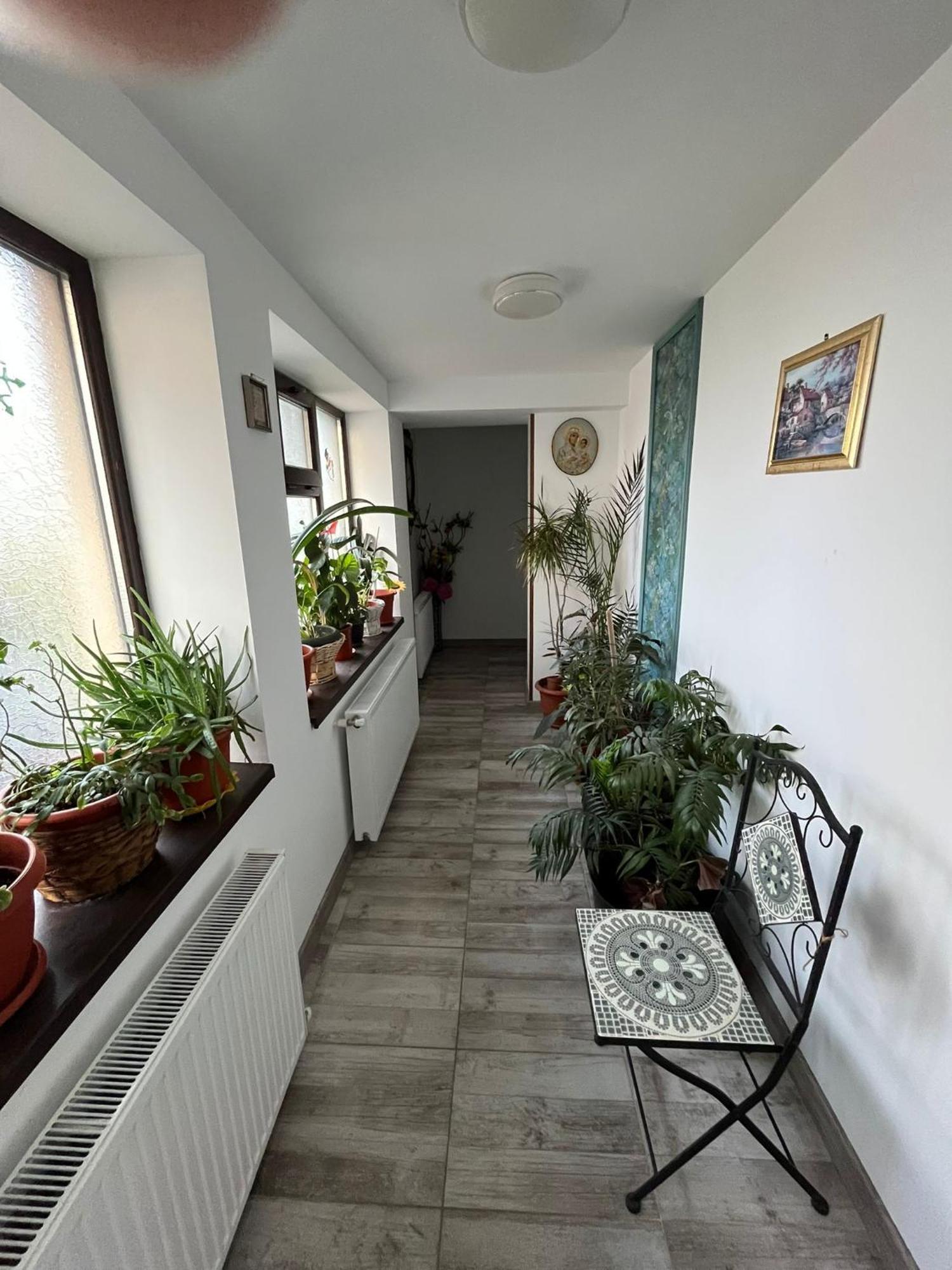 Solaria Budget Studio Galaţi Exteriör bild